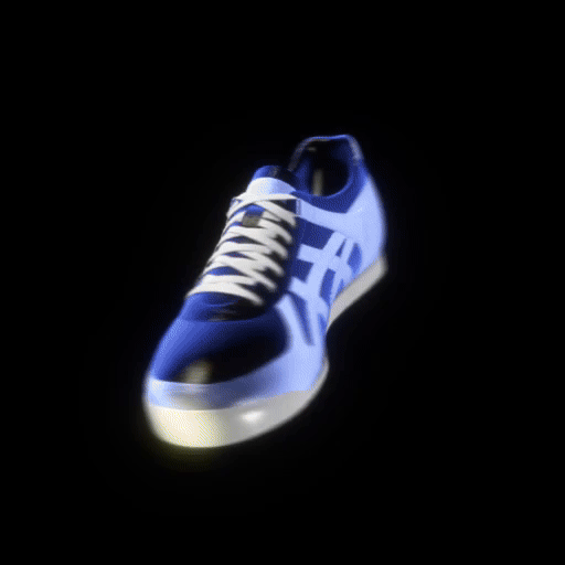 Shoe 6