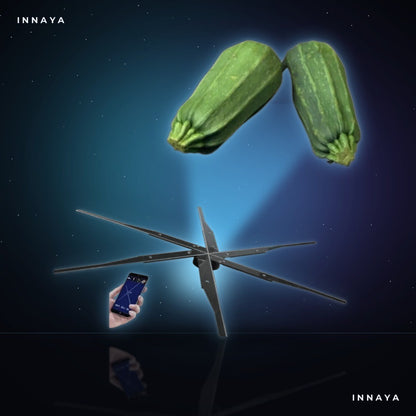 INNAYA 70cm Hologram Fan — Naked-Eye 3D, HD LED Advertising Display by INNAYA